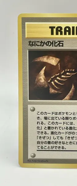 Mysterious Fossil Trainer Fossil Pokemon Card Japanese Vintage 1996 TCG NM - Image 2