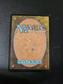 Unknown Shores 259 MTG NM Ixalan - Image 2