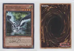 Bujingi Crow 1st Ed. YuGiOh Shadow Specters #SHSP-EN023 gl9 - Image 3