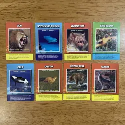 🐆 Lot of 8 Wildlife Discovery TCG Cards - Card Game CCG - Lion Bear Bat Dolphin - Image 4