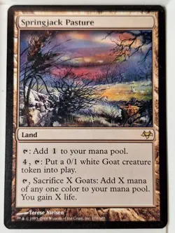 Springjack Pasture - Eventide - Magic the Gathering MTG Nice! - Image 1