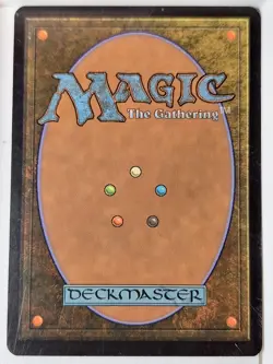 Springjack Pasture - Eventide - Magic the Gathering MTG Nice! - Image 2