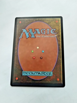 MTG Briar Shield Weatherlight Regular Common - SOme Edge Wear - See PIcs - Image 3