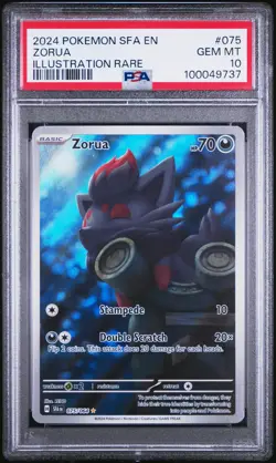 2024 POKEMON SFA EN-SHROUDED FABLE ILLUSTRATION RARE #075 ZORUA PSA 10 - Image 1
