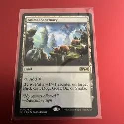 MTG Animal Sanctuary FOIL NM Core Set 2021 M21 English Magic Card - Image 1