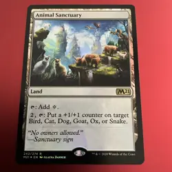 MTG Animal Sanctuary FOIL NM Core Set 2021 M21 English Magic Card - Image 2