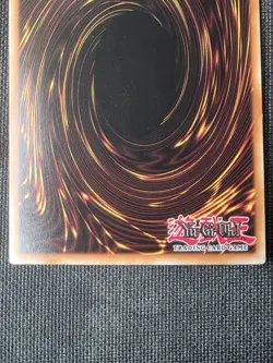 Yu-Gi-Oh Blue-Eyes White Dragon TCG Card CT13-EN008 Limited Edition - Image 5