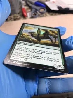 FOIL Arboreal Grazer - War of the Spark - MTG - NM/M - Pack Fresh Unplayed - Image 4