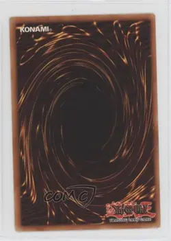 The Shallow Grave (R) Unlimited YuGiOh Pharaoh's Servant #PSV-036 2002 12hh - Image 2