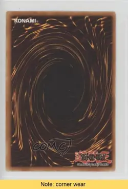 Paladin of White Dragon 1st Ed. YuGiOh Starter Deck Kaiba Evolution READ 06ak - Image 2