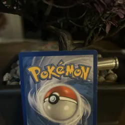 2012 Black & White - Dragons Exalted Magikarp #23 Non Holo Pokemon Card - Image 4