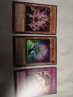 Samsara D Lotus - PHNI-EN003 - Super Rare 1st Edition 3 Card Lot - Image 1