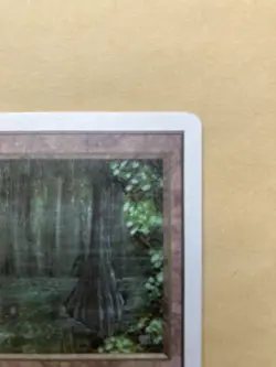 Mtg Bayou Unlimited English Versionmint - Image 3