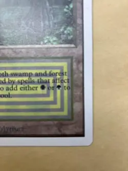 Mtg Bayou Unlimited English Versionmint - Image 5