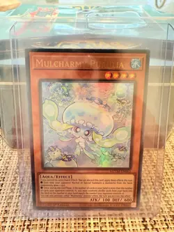 Yugioh MZTM-EN083 Mulcharmy Purulia Ultra Rare NM 1st Edition - Image 1