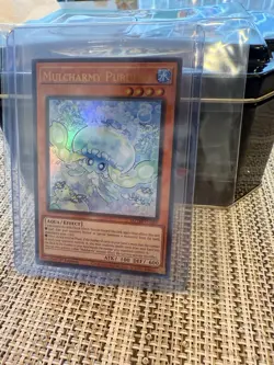 Yugioh MZTM-EN083 Mulcharmy Purulia Ultra Rare NM 1st Edition - Image 3
