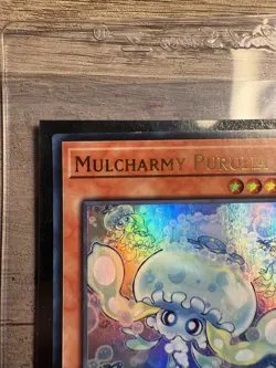 Yugioh MZTM-EN083 Mulcharmy Purulia Ultra Rare NM 1st Edition - Image 5