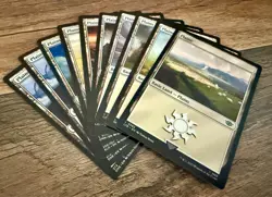 Magic: The Gathering Land Pack (10 Basic Lands) - Image 1