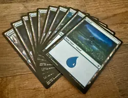 Magic: The Gathering Land Pack (10 Basic Lands) - Image 2