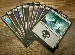 Magic: The Gathering Land Pack (10 Basic Lands) - Image 3