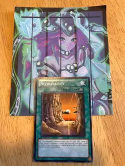 Yugioh 1x Necrovalley Common Light Play 1st Edition SDMA-EN025 - Image 1