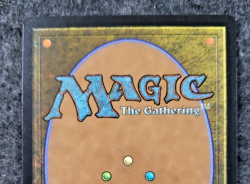 Wall of Omens Magic the Gathering Commander Forgotten Realms Mint MTG (DS3D1K5) - Image 4