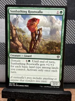MTG TCG: Sunbathing Rootwalla 181/281, Dominaria United - Image 1