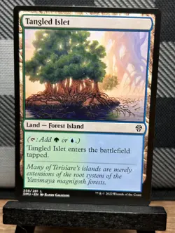 MTG TCG: Tangled Islet 258/281, Dominaria United - Image 1