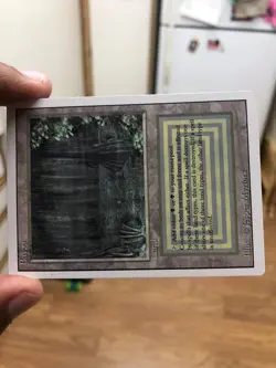 MTG English Bayou lightly Played Normal Revised Magic The Gathering Dual Land - Image 3