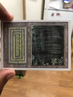 MTG English Bayou lightly Played Normal Revised Magic The Gathering Dual Land - Image 5