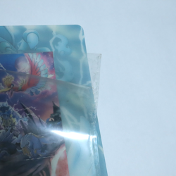 Pokemon Card Lot of 9/9 PokePark Premium File Blue Sheet Complete Promo Japanese - Image 5