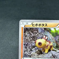 Hippopotas 159/XY-P Pokemon Center Promo Japanese Pokemon Card #7673 - Image 3
