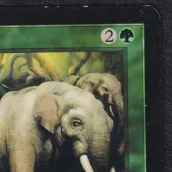 CALL OF THE HERD #231 Magic Odyessey Vintage Rare English MTG Magic Excellent LP - Image 3