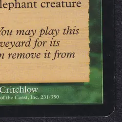 CALL OF THE HERD #231 Magic Odyessey Vintage Rare English MTG Magic Excellent LP - Image 4