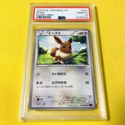 EEVEE PSA10 GEM MINT Eevee/C/XY7 2015 063/081 Pokemon Cards BANDIT RING anime - Image 1
