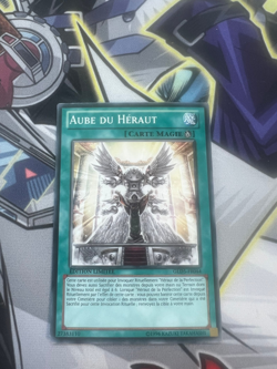 DAWN OF THE HERALD FRENCH GLD6-EN044 FR044 COMMON NEAR MINT YUGIOH - Image 1