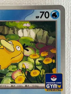 Psyduck 262/SV-P Gym Promo Pokemon Card Japanese Scarlet & Violet (Near Mint) - Image 3