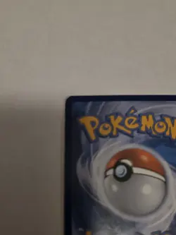 Torchic 12/111 - Pokemon XY Furious Fists Card - Image 3