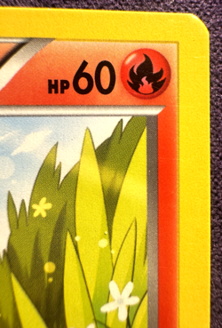 Torchic 12/111 - Pokemon XY Furious Fists Card - Image 3