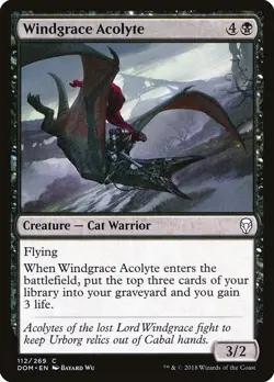 [MTG] Windgrace Acolyte (112) (DOM) LP-HP - Image 1