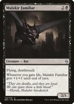 [MTG] Malakir Familiar (116) (BFZ) LP-HP - Image 1
