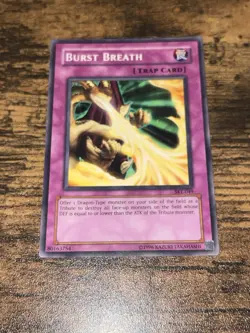 Yugioh! LP Burst Breath - SKE-049 - Common - Unlimited Edition - Lightly Played - Image 1