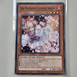 Ash Blossom & JoyousSpring- SDWD - Common - Yugioh Euro - Image 1