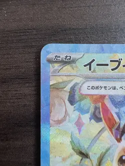 Pokemon Cards Game - Eevee ex SAR 223/187 sv8a Terastal Festival ex Japanese - Image 14