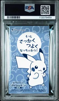 PSA 8 Pokemon Poncho Pikachu Charizard XY Promo Japanese 2016 Business Card JP - Image 2