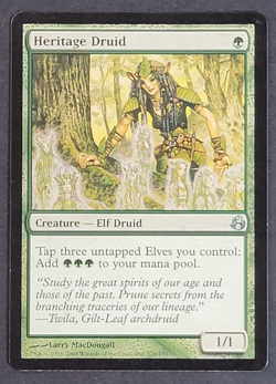 MTG - 1x Heritage Druid - Morningtide - NM/LP - Green Magic The Gathering - 2008 - Image 1