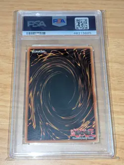 Blue-Eyes White Dragon DB1-EN098 PSA 9 Mint Dark Beginnings 1 Yugioh! - Image 2