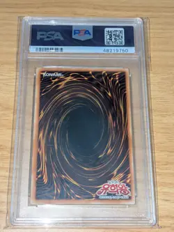 Blue-Eyes White Dragon YAP1-KR001 PSA 8 NM - MT Korean Anniversary Pack Yugioh! - Image 2