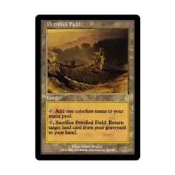 WOTC MtG Odyssey Petrified Field (R) EX - Image 1