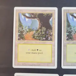 MTG - 4x Revised Edition - Forest B - LP/LP+ - Vintage White Border Land - Magic - Image 3